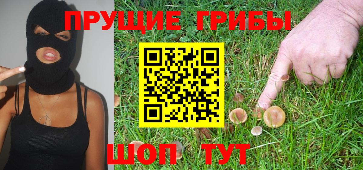 Псилоцибиновые грибы Cubensis Ярославль